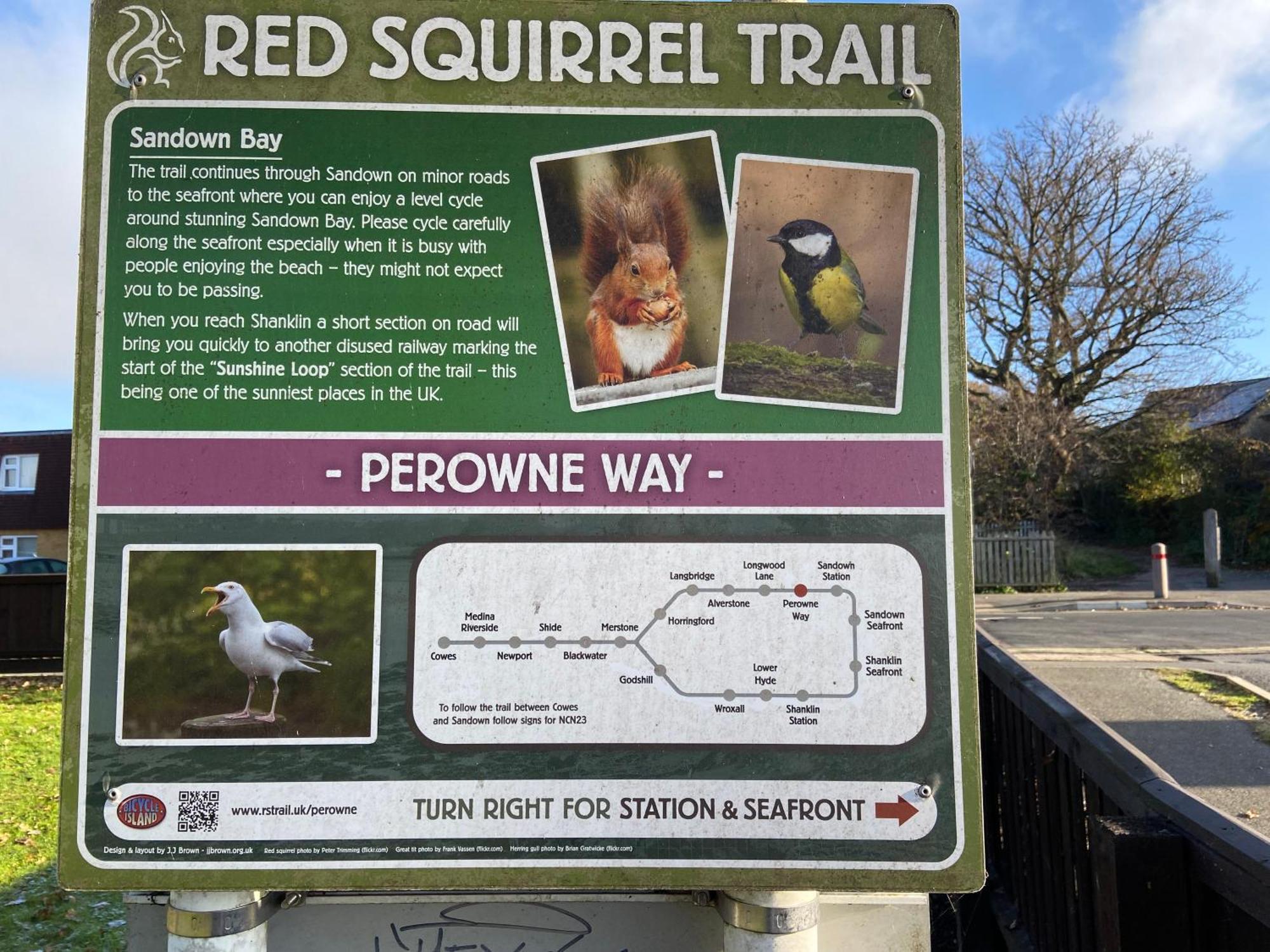 Lodge Red Squirrel